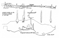 MC 2003 OFAPI Pot